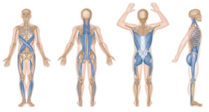 myofascialintegration'